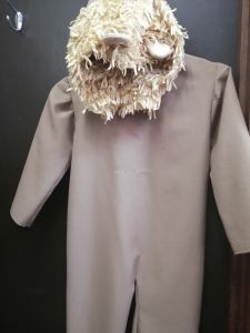 Kids Costumes to Hire - Lion - onesie & headpce - 2pce